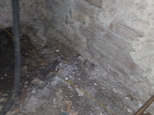 BEFORE - Mold Remediation