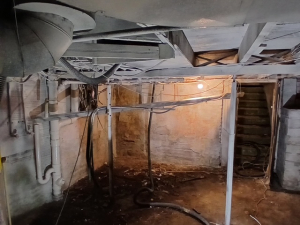 DURING - Mold Remediation