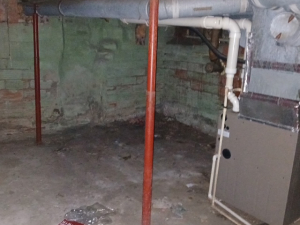 BEFORE - Mold Remediation
