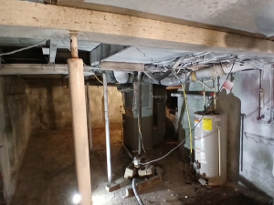 DURING - Mold Remediation