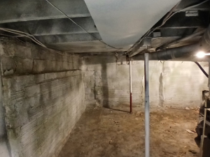 BEFORE - Mold Remediation