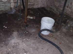 DURING - Mold Remediation