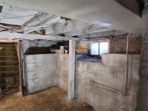 DURING - Mold Remediation