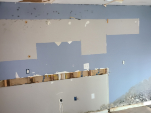 Before - Fire Damage Restoration 