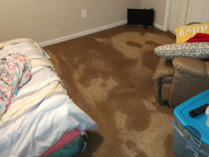 Water Damage Restoration