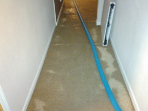 Water Damage Restoration