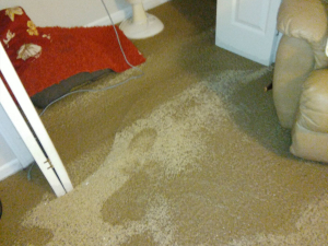 Water Damage Restoration