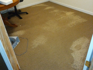 Water Damage Restoration