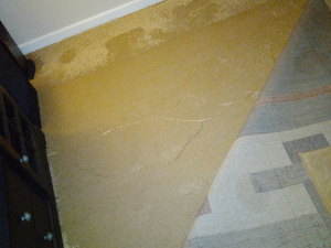 Water Damage Restoration