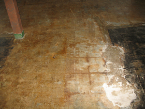 VCT Flooring Tiles - Before