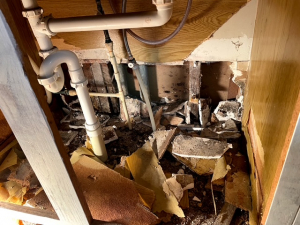 BEFORE - Mold Remediation