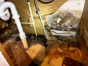 BEFORE - Mold Remediation