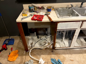 BEFORE - Mold Remediation