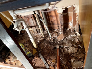 BEFORE - Mold Remediation