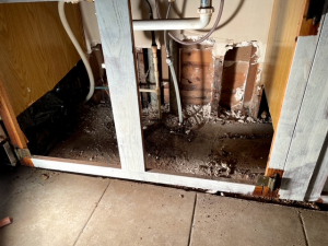 BEFORE - Mold Remediation