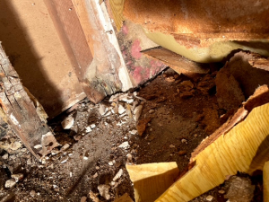 BEFORE - Mold Remediation