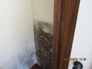 BEFORE - Mold Remediation
