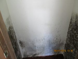BEFORE - Mold Remediation